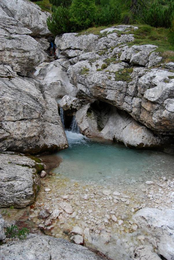 Appartamenti Chalet Orchidea Canazei Eksteriør bilde