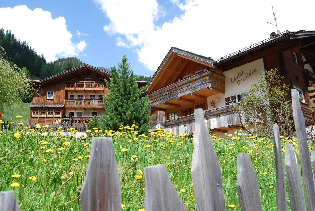 Appartamenti Chalet Orchidea Canazei Eksteriør bilde