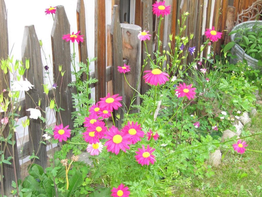 Appartamenti Chalet Orchidea Canazei Eksteriør bilde