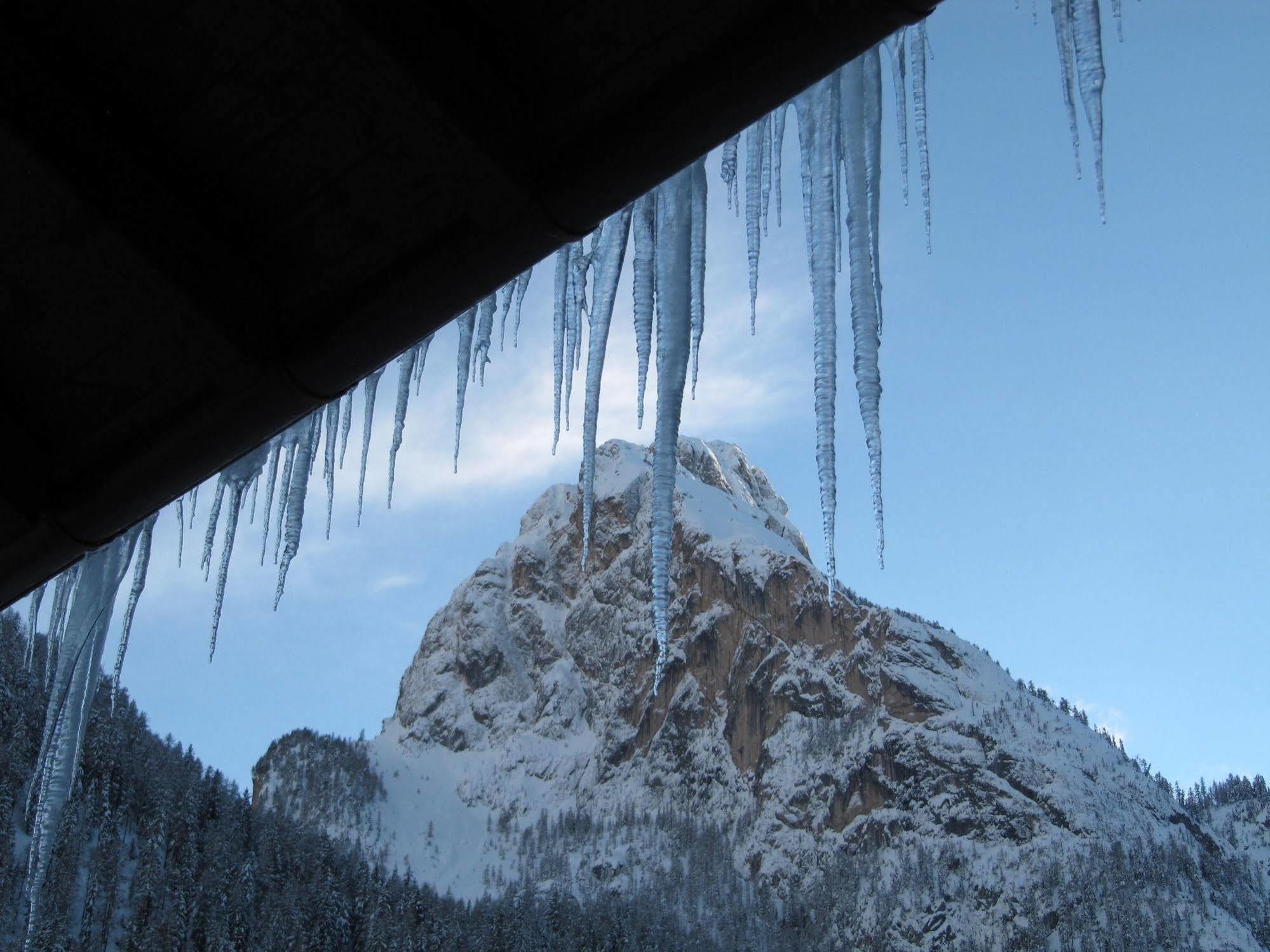 Appartamenti Chalet Orchidea Canazei Eksteriør bilde